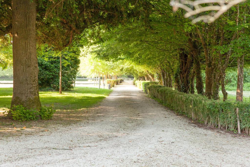 Domaine Labattut Bed and Breakfast Saint-Astier  Εξωτερικό φωτογραφία